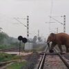 KHARAGPUR : हावड़ा-मुंबई रेलमार्ग पर मालगाड़ी के सामने आया हाथी, रेलवे गेट तोड़ा