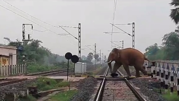 KHARAGPUR : हावड़ा-मुंबई रेलमार्ग पर मालगाड़ी के सामने आया हाथी, रेलवे गेट तोड़ा