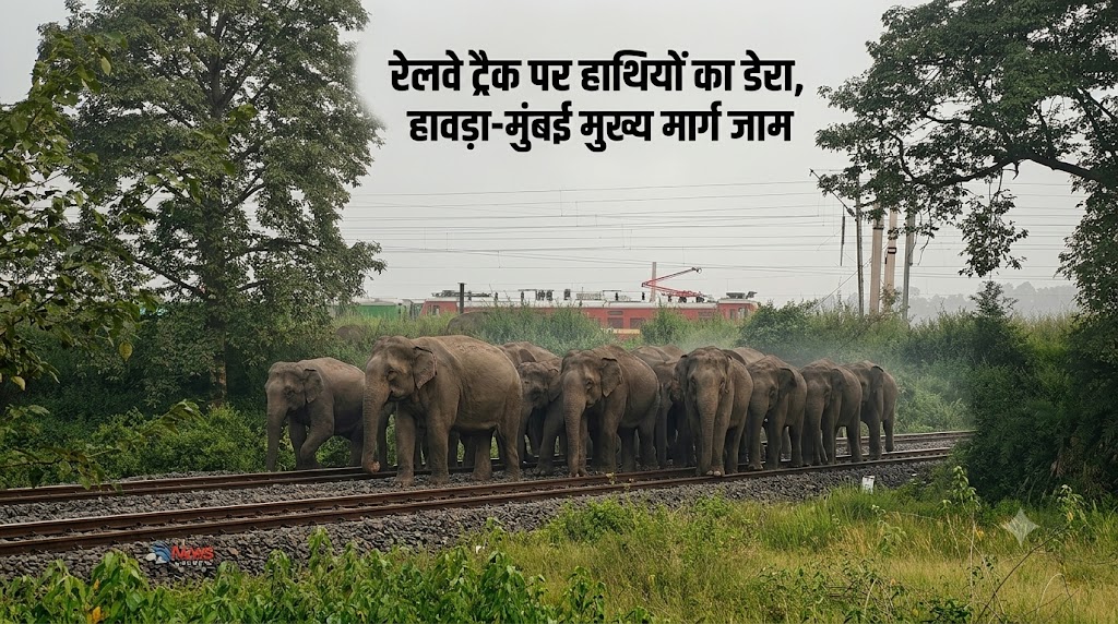 रेलवे ट्रैक पर हाथियों का ‘डेरा’, हावड़ा-मुंबई मुख्य मार्ग किया जाम, चार ट्रेनें घंटों खड़ी रही